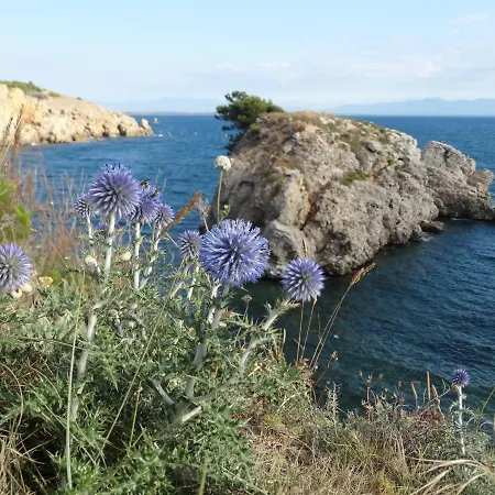 Punta Montgo Port De Rei Apartament *